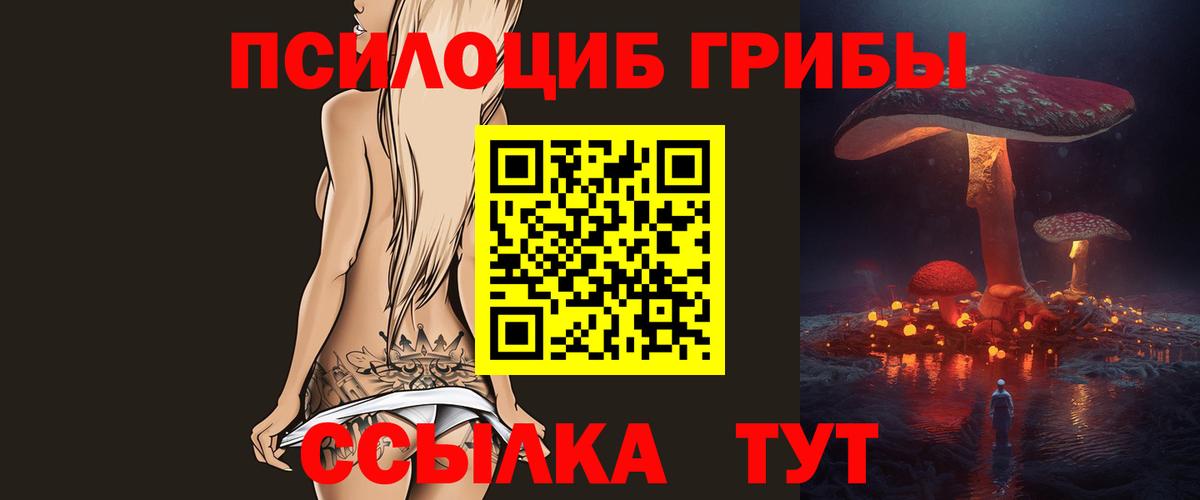 Кудымкар  Псилоцибиновые грибы мицелий  Вход с VPN  Псилоцибиновые грибы Magic Shrooms 